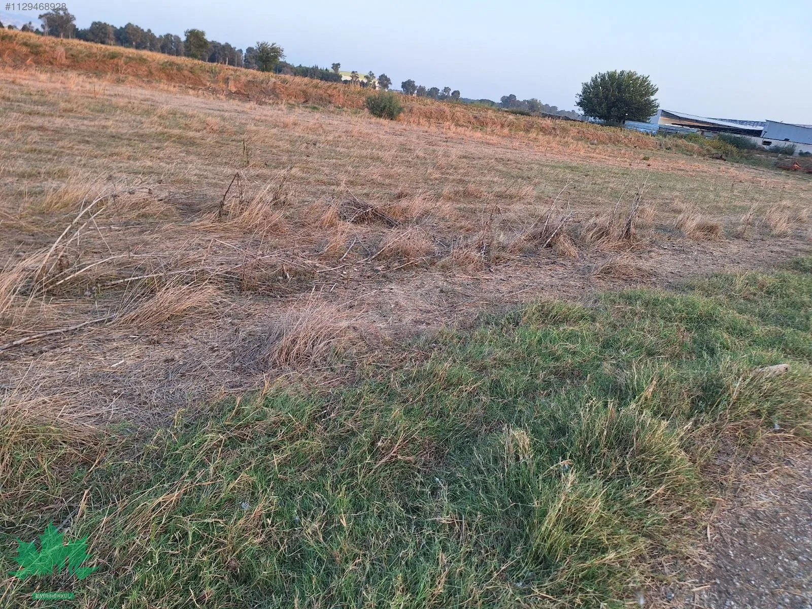 Sasalı Villa Bölgesi Yakınında 33.200 m² Yatırımlık Arazi - küçük resim 3