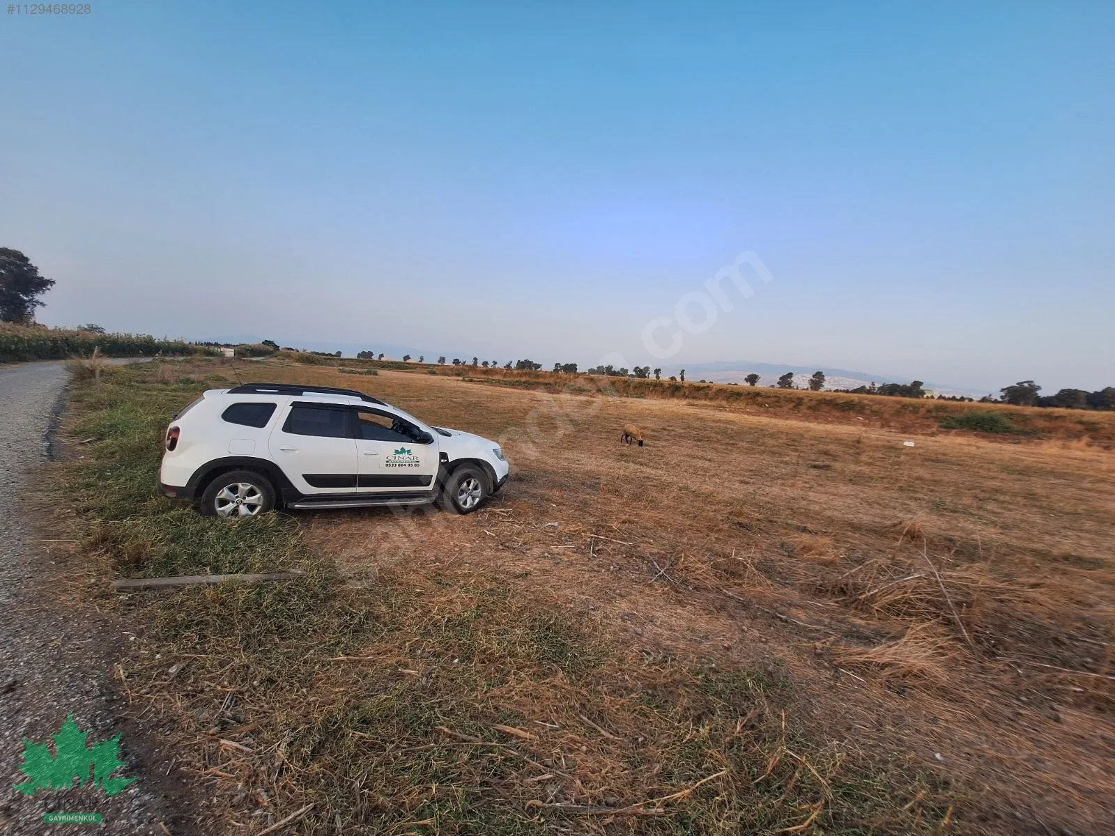 Sasalı Villa Bölgesi Yakınında 33.200 m² Yatırımlık Arazi - küçük resim 6