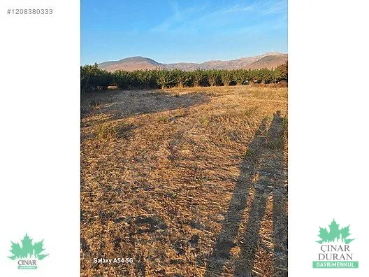 Menemen Türkeli'de Kadastral Yola Yakın 3.680 m² Satılık Tarla - küçük resim 11