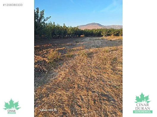 Menemen Türkeli'de Kadastral Yola Yakın 3.680 m² Satılık Tarla - küçük resim 12