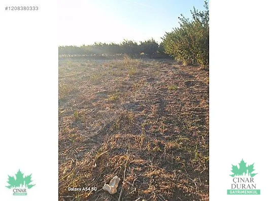 Menemen Türkeli'de Kadastral Yola Yakın 3.680 m² Satılık Tarla - küçük resim 24