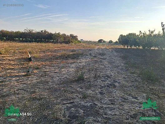 Menemen Türkeli'de Kadastral Yola Yakın 3.680 m² Satılık Tarla - küçük resim 26