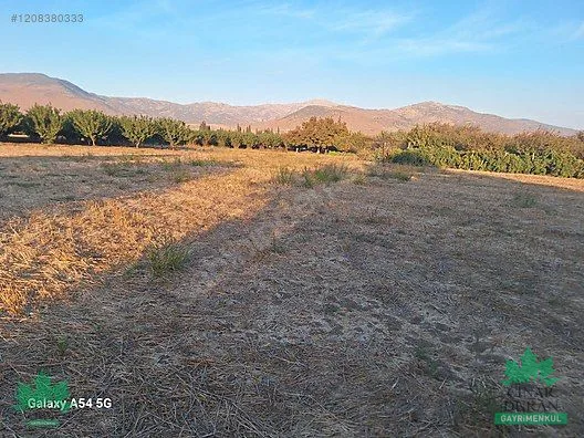 Menemen Türkeli'de Kadastral Yola Yakın 3.680 m² Satılık Tarla - küçük resim 29