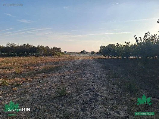 Menemen Türkeli'de Kadastral Yola Yakın 3.680 m² Satılık Tarla - küçük resim 3