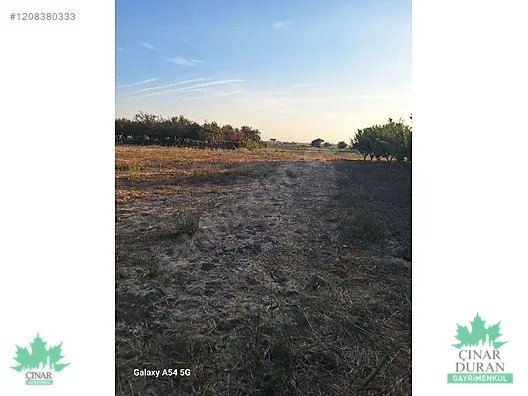 Menemen Türkeli'de Kadastral Yola Yakın 3.680 m² Satılık Tarla - küçük resim 4