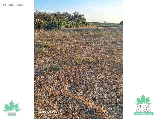 Menemen Türkeli'de Kadastral Yola Yakın 3.680 m² Satılık Tarla - küçük resim 7