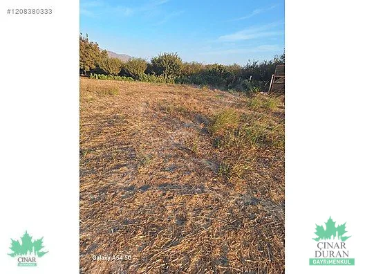 Menemen Türkeli'de Kadastral Yola Yakın 3.680 m² Satılık Tarla - küçük resim 9