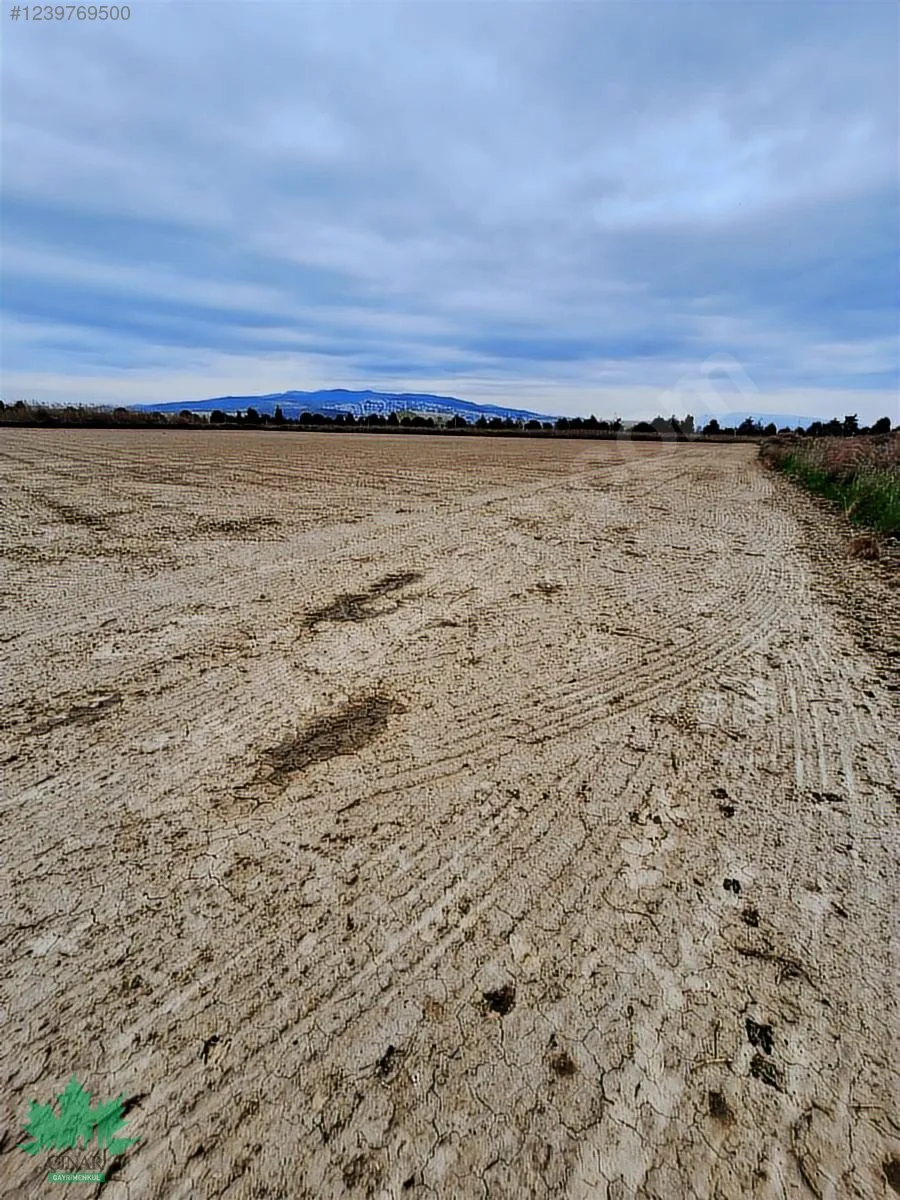 Kaklıç'ta Gelişen Bölgede 32.600 m² Satılık Arazi - küçük resim 9