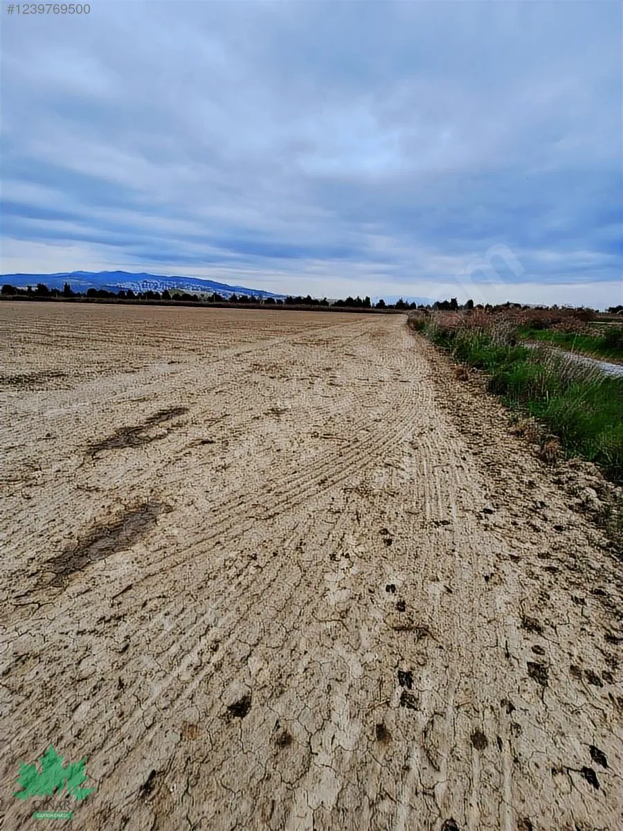 Kaklıç'ta Gelişen Bölgede 32.600 m² Satılık Arazi - küçük resim 8