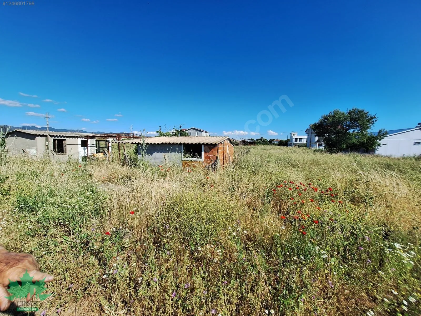 Dikili Salihler'de Villa İmarlı 300 m² Satılık Arsa - küçük resim 7