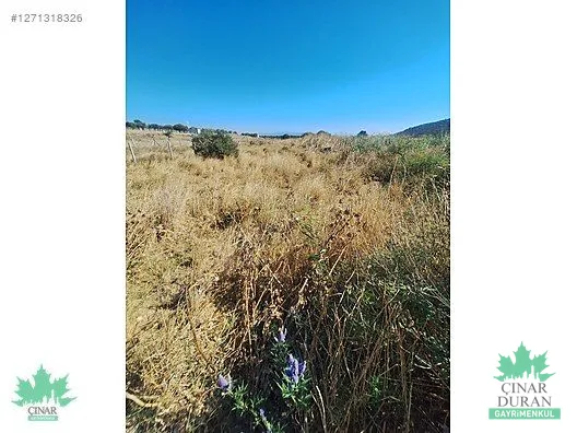 Foça Yenibağarası Mahallesi'nde 385 m² Satılık Arsa - küçük resim 10