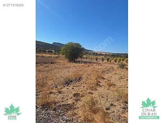 Foça Yenibağarası Mahallesi'nde 385 m² Satılık Arsa - küçük resim 6